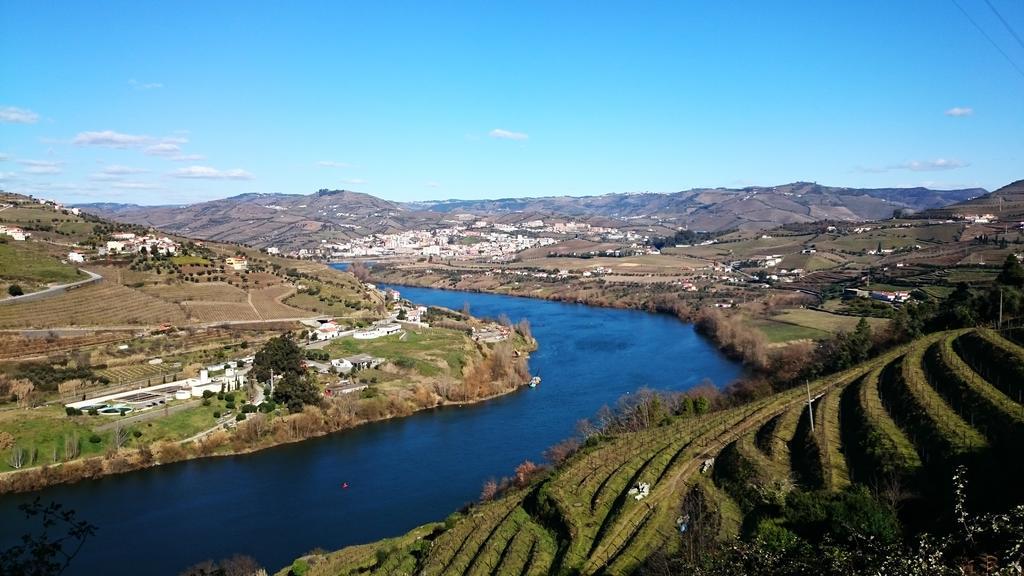 Вилла Casa Quinta Da Adega Do Chao - Vale Do Douro Ламегу Номер фото