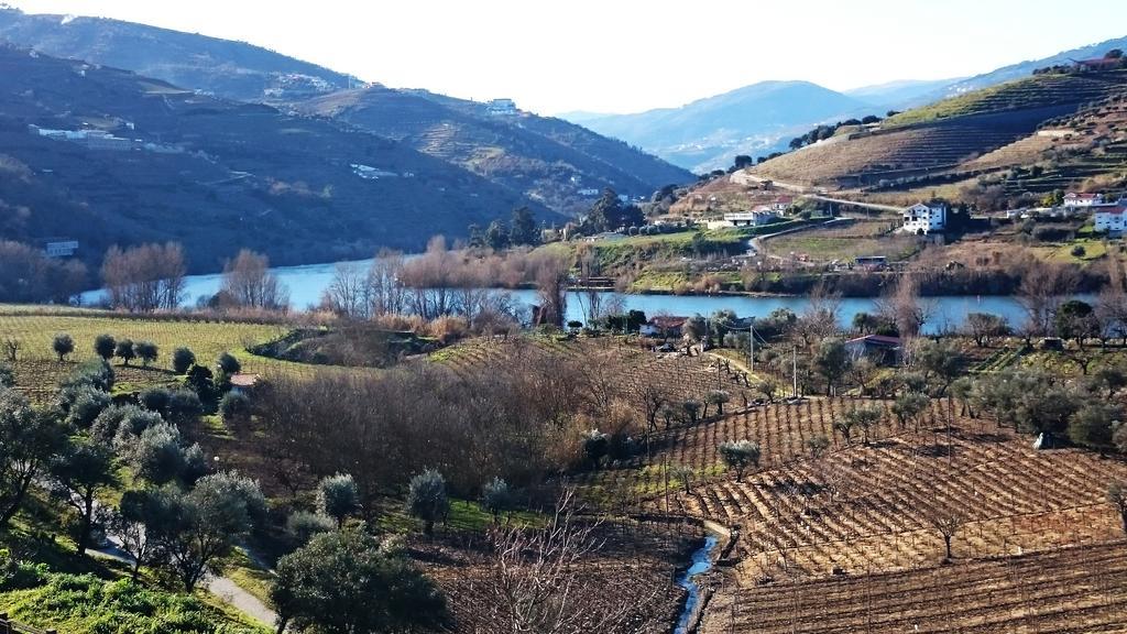 Вилла Casa Quinta Da Adega Do Chao - Vale Do Douro Ламегу Номер фото