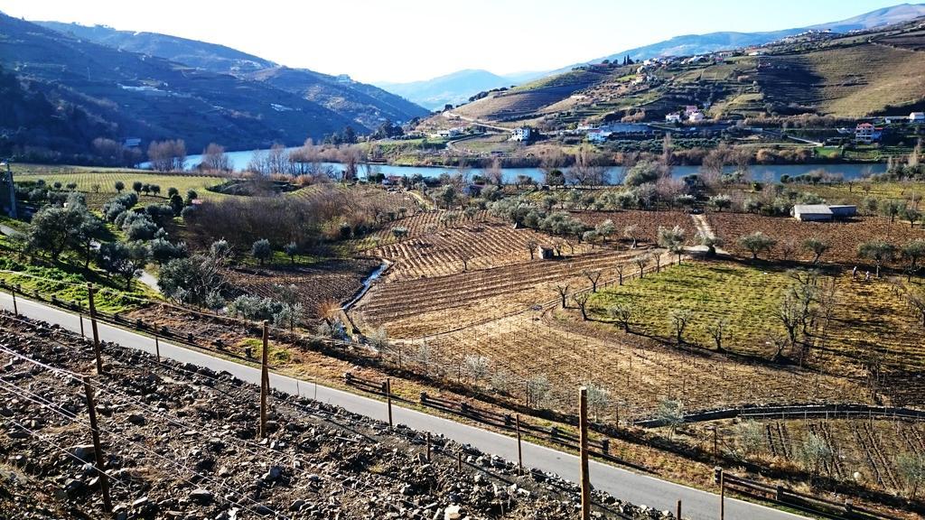 Вилла Casa Quinta Da Adega Do Chao - Vale Do Douro Ламегу Номер фото
