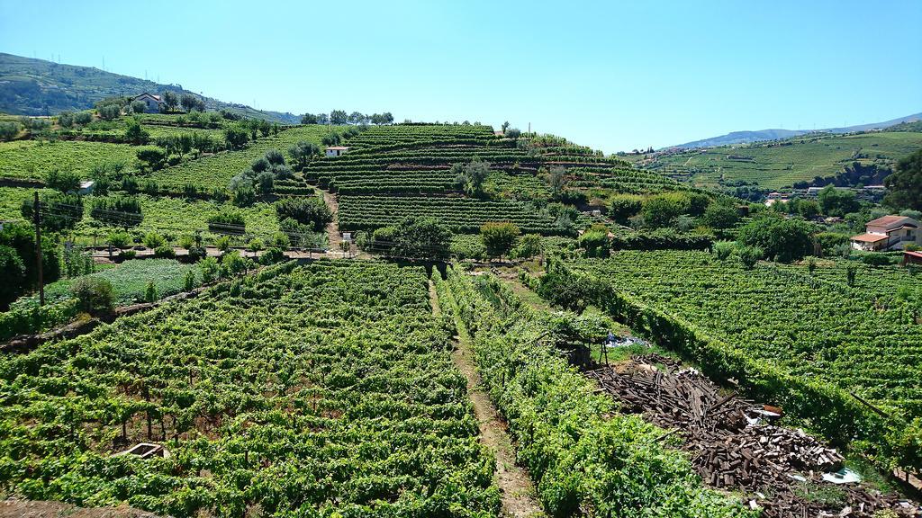 Вилла Casa Quinta Da Adega Do Chao - Vale Do Douro Ламегу Экстерьер фото